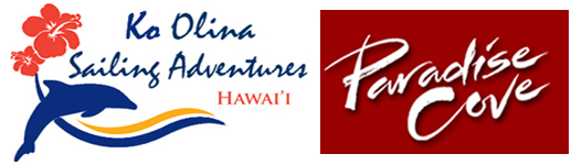 Swimming with Dolphins in Oahu, Hawaii